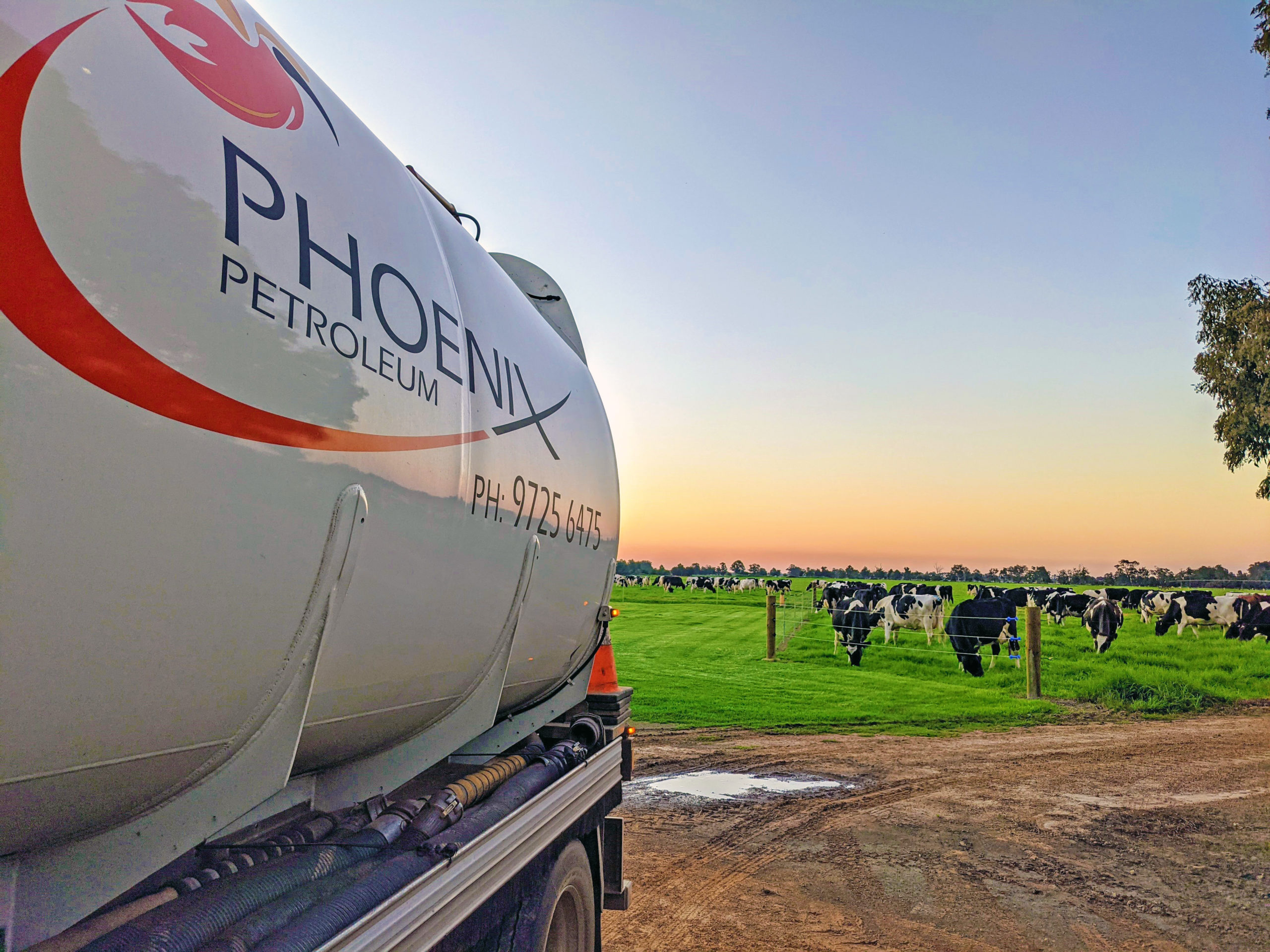 Phoenix Petroleum